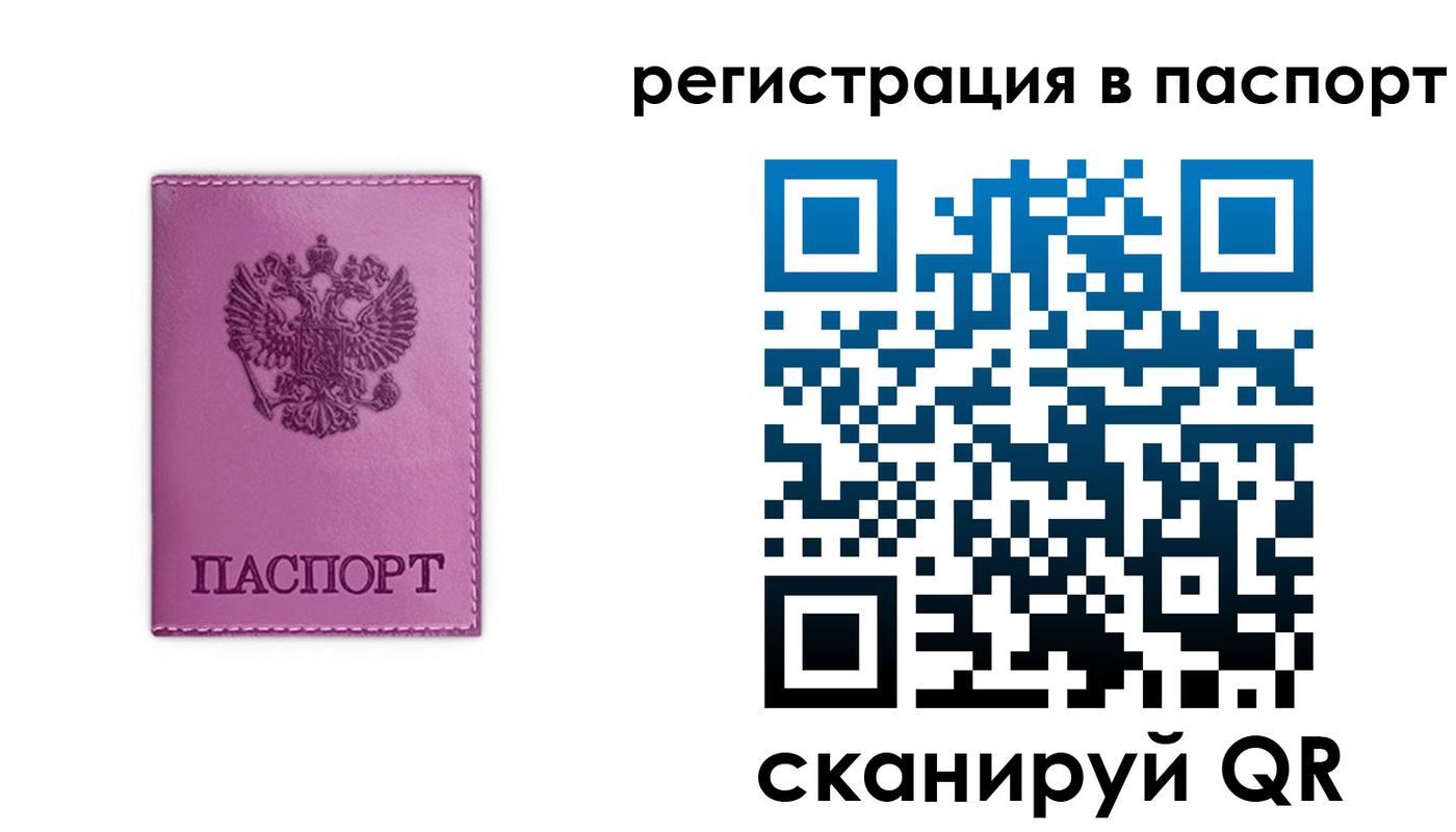 прописка 2025 в Светогорске